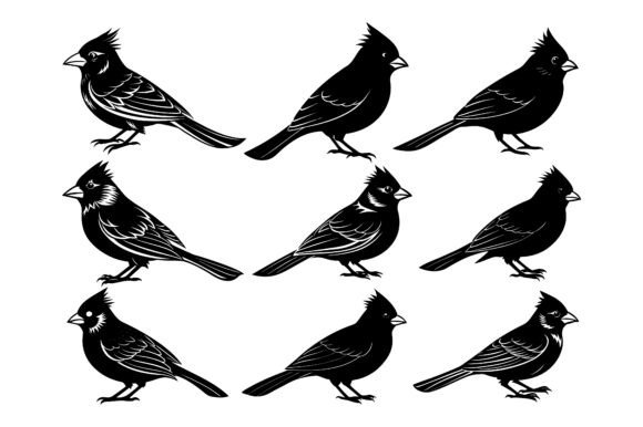Cardinal Bird Vector Illustration Bundle: A Versatile Design Resource for Creative Projects